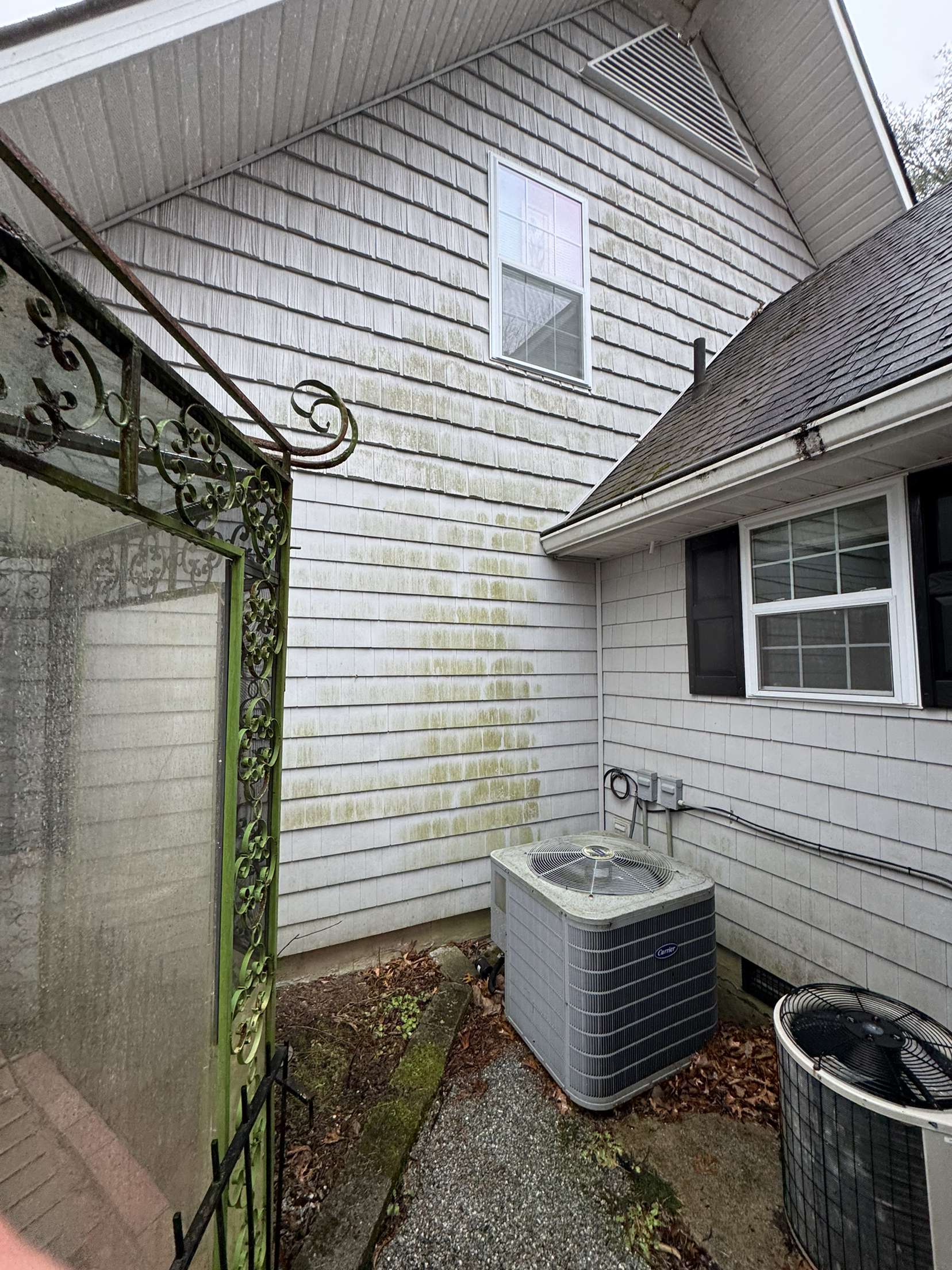 Dirty Back House